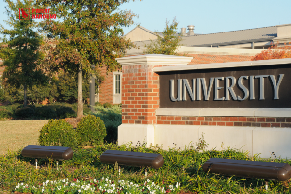 perbedaan institut universitas sekolah tinggi politeknik